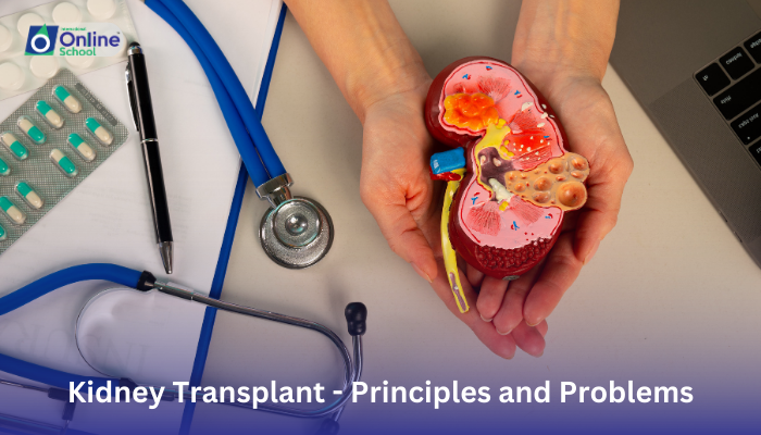 Lesson 20: Kidney Transplant - Principles and Problems
